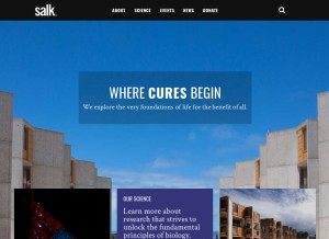 How salk.edu looks like on a tablet such as an iPad.
