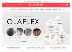 How sallymexico.com looks like on a tablet such as an iPad.