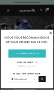 How salomon.com looks like on a mobile device such as an iPhone.