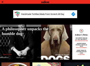 How salon.com looks like on a tablet such as an iPad.