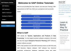 How sapbrainsonline.com looks like on a tablet such as an iPad.