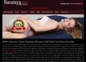 How saumyagiri.com looks like on a tablet such as an iPad.