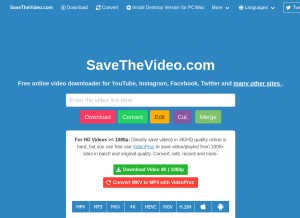 savethevideo.com Domain Owner Whois and Analysis