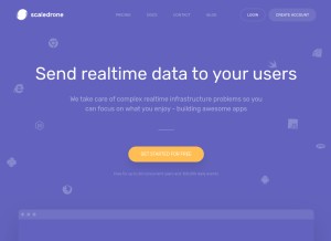 How scaledrone.com looks like on a tablet such as an iPad.
