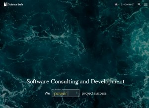 How scnsoft.com looks like on a tablet such as an iPad.