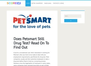 How scoreloop.com looks like on a tablet such as an iPad.