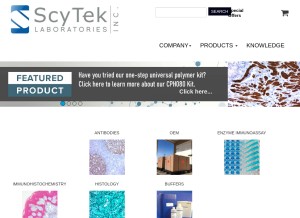 How scytek.com looks like on a tablet such as an iPad.