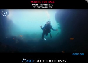 How sdexpeditions.com looks like on a tablet such as an iPad.