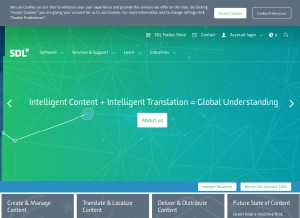 How sdl.com looks like on a tablet such as an iPad.
