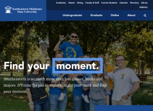 How se.edu looks like on a tablet such as an iPad.