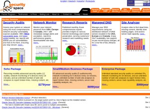 How securityspace.net looks like on a tablet such as an iPad.