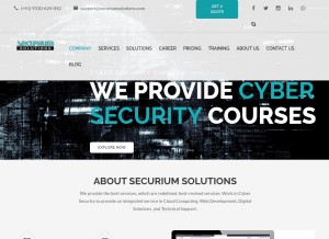 How securiumsolutions.com looks like on a tablet such as an iPad.