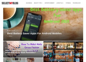 How selectmyblog.com looks like on a tablet such as an iPad.