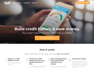 How selflender.com looks like on a tablet such as an iPad.