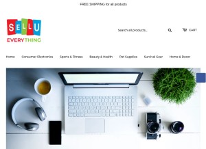 How sellueverything.com looks like on a tablet such as an iPad.