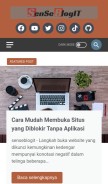 How senseblogit.xyz looks like on a mobile device such as an iPhone.