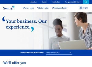 How sentry.com looks like on a tablet such as an iPad.