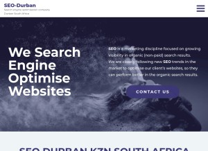 How seo-durban.co.za looks like on a tablet such as an iPad.