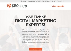 How seo.com looks like on a tablet such as an iPad.