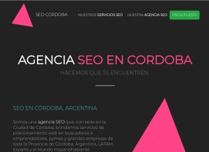 How seocordoba.com.ar looks like on a tablet such as an iPad.