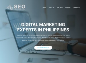 How seomastersmind.com looks like on a tablet such as an iPad.