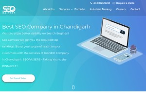 How seoraisers.com looks like on a tablet such as an iPad.