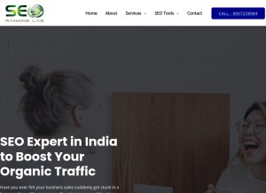 How seorankinglab.com looks like on a tablet such as an iPad.