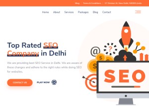 How seoserviceindelhi.in looks like on a tablet such as an iPad.