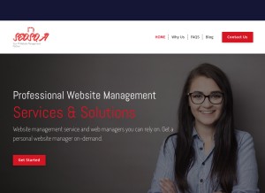 How seosqa.com looks like on a tablet such as an iPad.