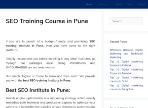 How seotrainingcourse.co.in looks like on a tablet such as an iPad.