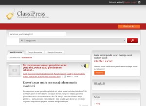 How seriilanservisi.net looks like on a tablet such as an iPad.