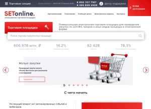 How setonline.ru looks like on a tablet such as an iPad.