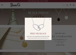 How shaneco.com looks like on a tablet such as an iPad.