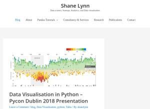 How shanelynn.ie looks like on a tablet such as an iPad.