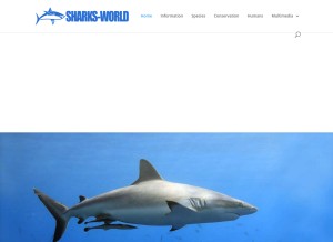 How sharks-world.com looks like on a tablet such as an iPad.