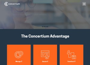 How shieldwatch.com looks like on a tablet such as an iPad.