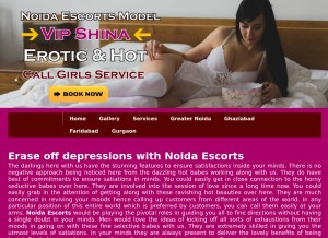 How shina.in looks like on a tablet such as an iPad.