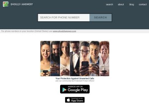 How shouldianswer.net looks like on a tablet such as an iPad.