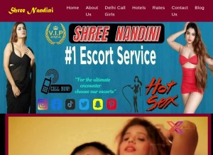 How shreenandini.in looks like on a tablet such as an iPad.