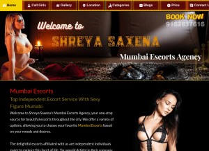 How shreyasaxena.com looks like on a tablet such as an iPad.