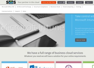 How simplymailsolutions.com looks like on a tablet such as an iPad.