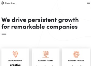 How singlegrain.com looks like on a tablet such as an iPad.