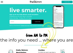 How skimmth.is looks like on a tablet such as an iPad.