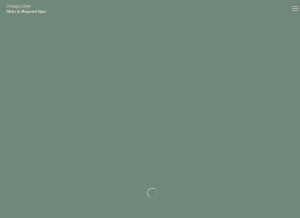 How skinandbeyondspa.com looks like on a tablet such as an iPad.