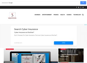 How skparticles.com looks like on a tablet such as an iPad.
