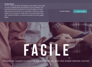 How skrill.com looks like on a tablet such as an iPad.
