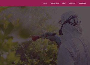 How skuaspestcontrol.com looks like on a tablet such as an iPad.