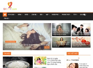 How skvty.com looks like on a tablet such as an iPad.