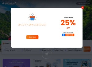 How skynavigo.com looks like on a tablet such as an iPad.