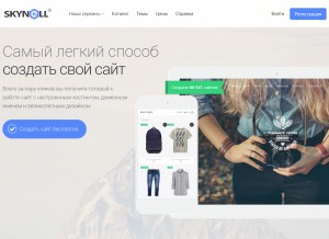 How skynell.biz looks like on a tablet such as an iPad.
